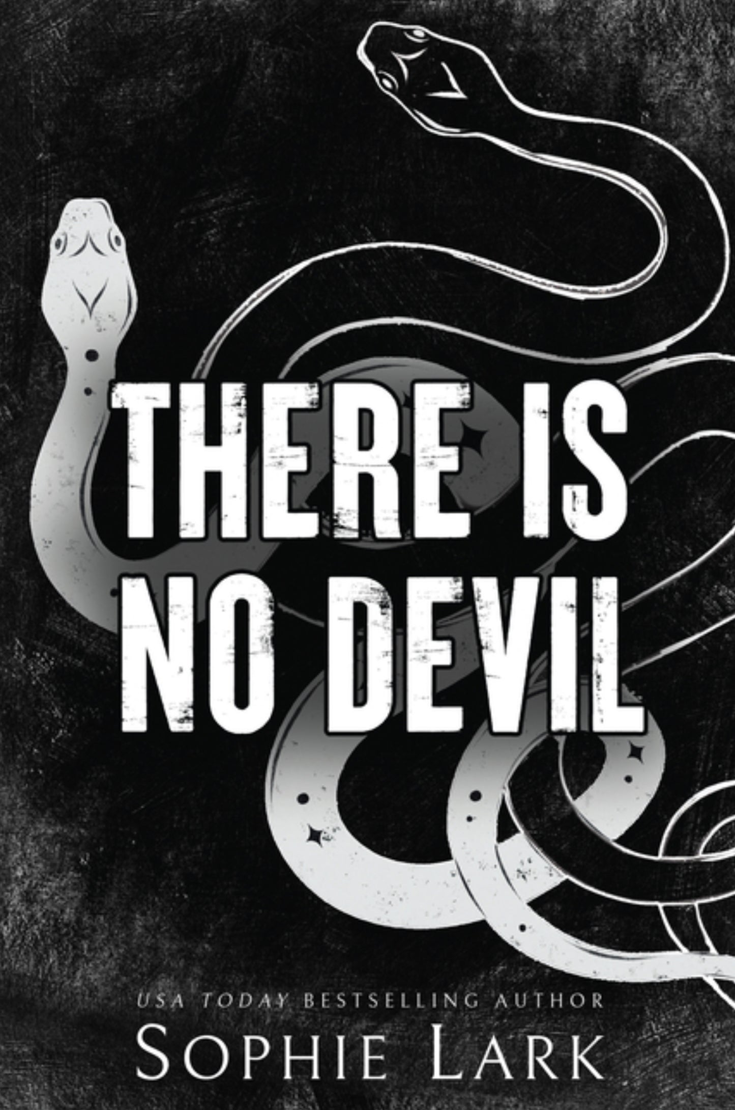 There Is No Devil (Sinners Duet #2)