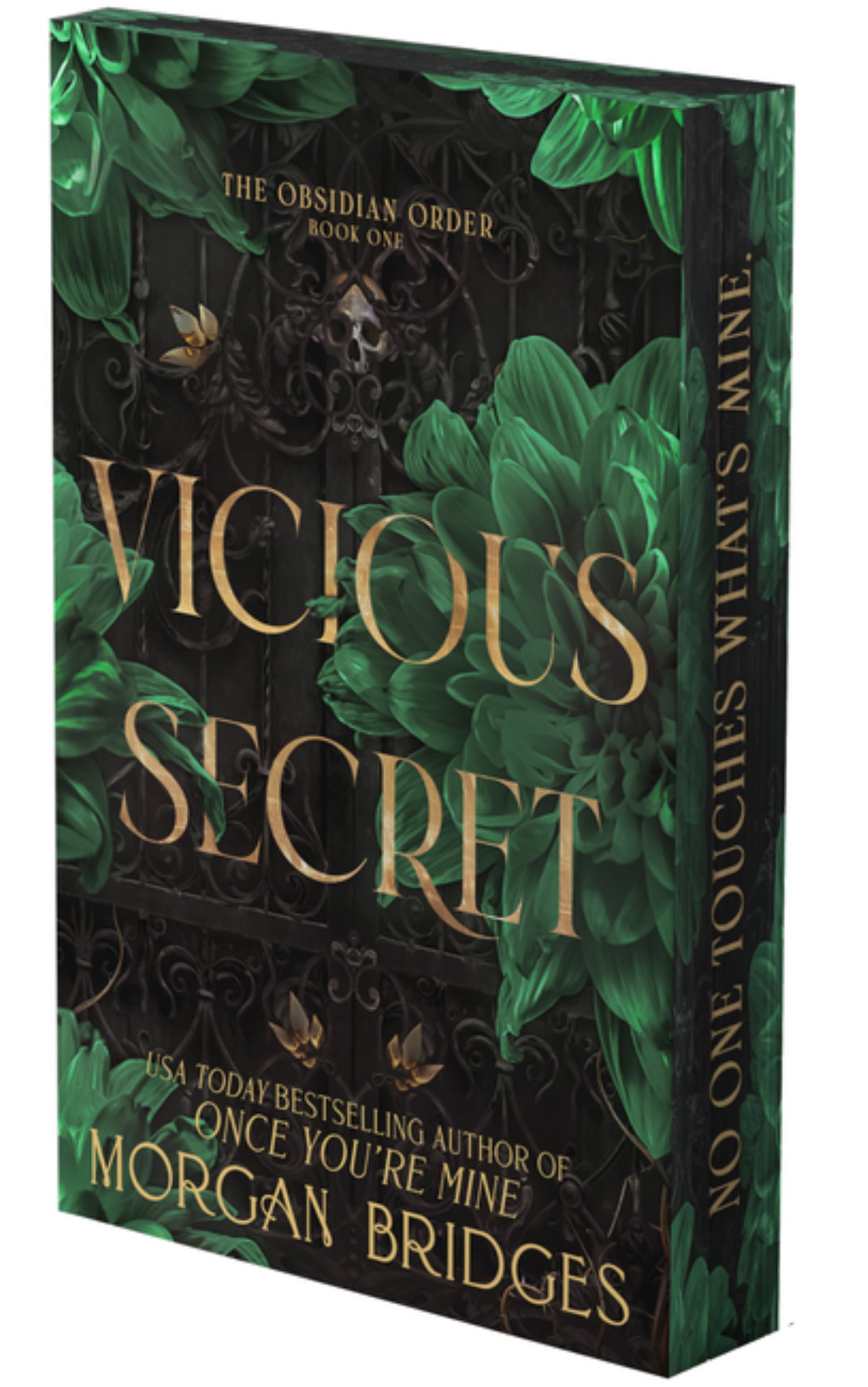 Vicious Secret: A Dark Romance (Obsidian Order #1)