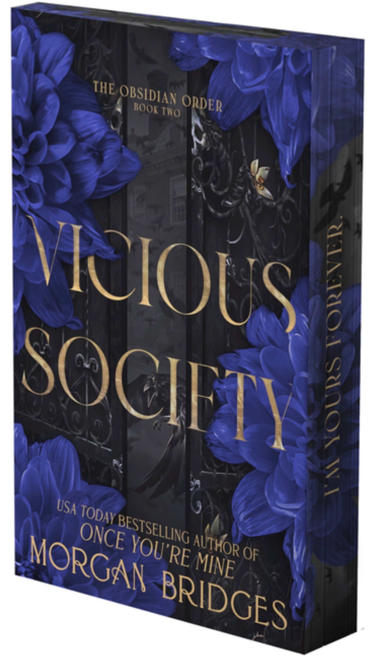 Vicious Society: A Dark Romance (Deluxe Limited Edition) (Obsidian Order #2) PRE-ORDER 8/25/26