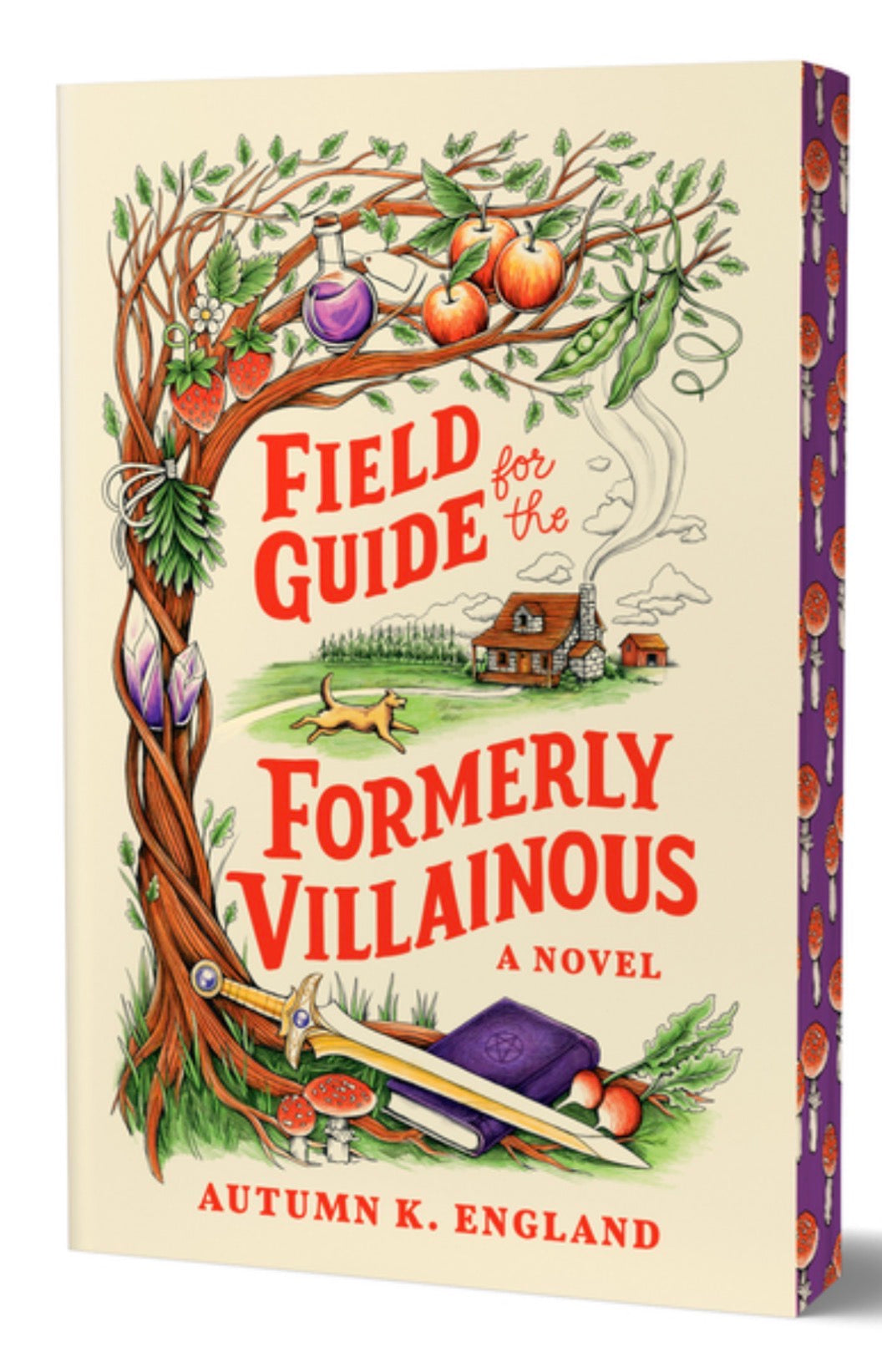 Field Guide for the Formerly Villainous (Deluxe Edition) (Everyday Magic #1)