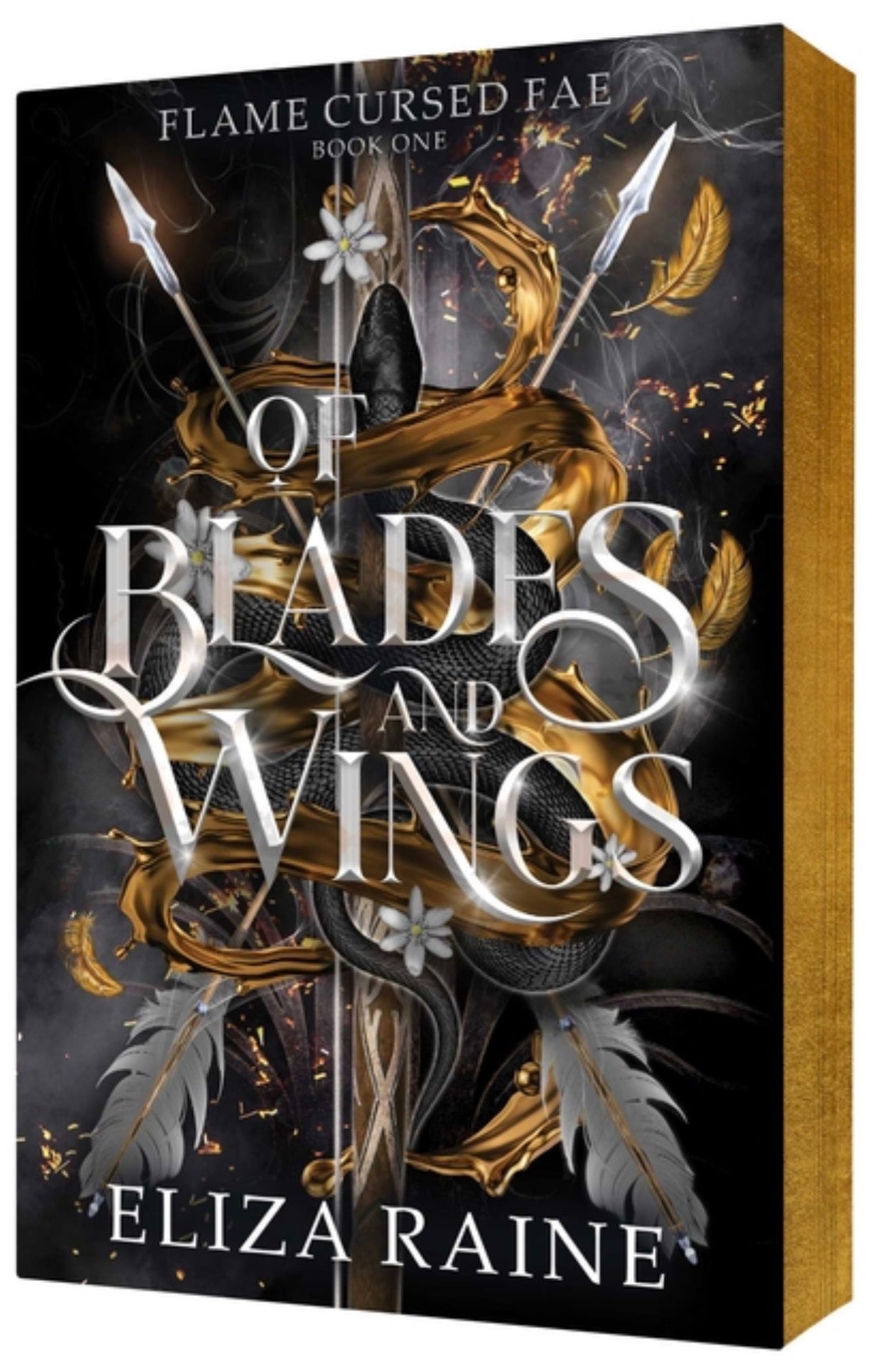 Of Blades and Wings (Flame Cursed Fae #1) PRE-ORDER 11/3.26