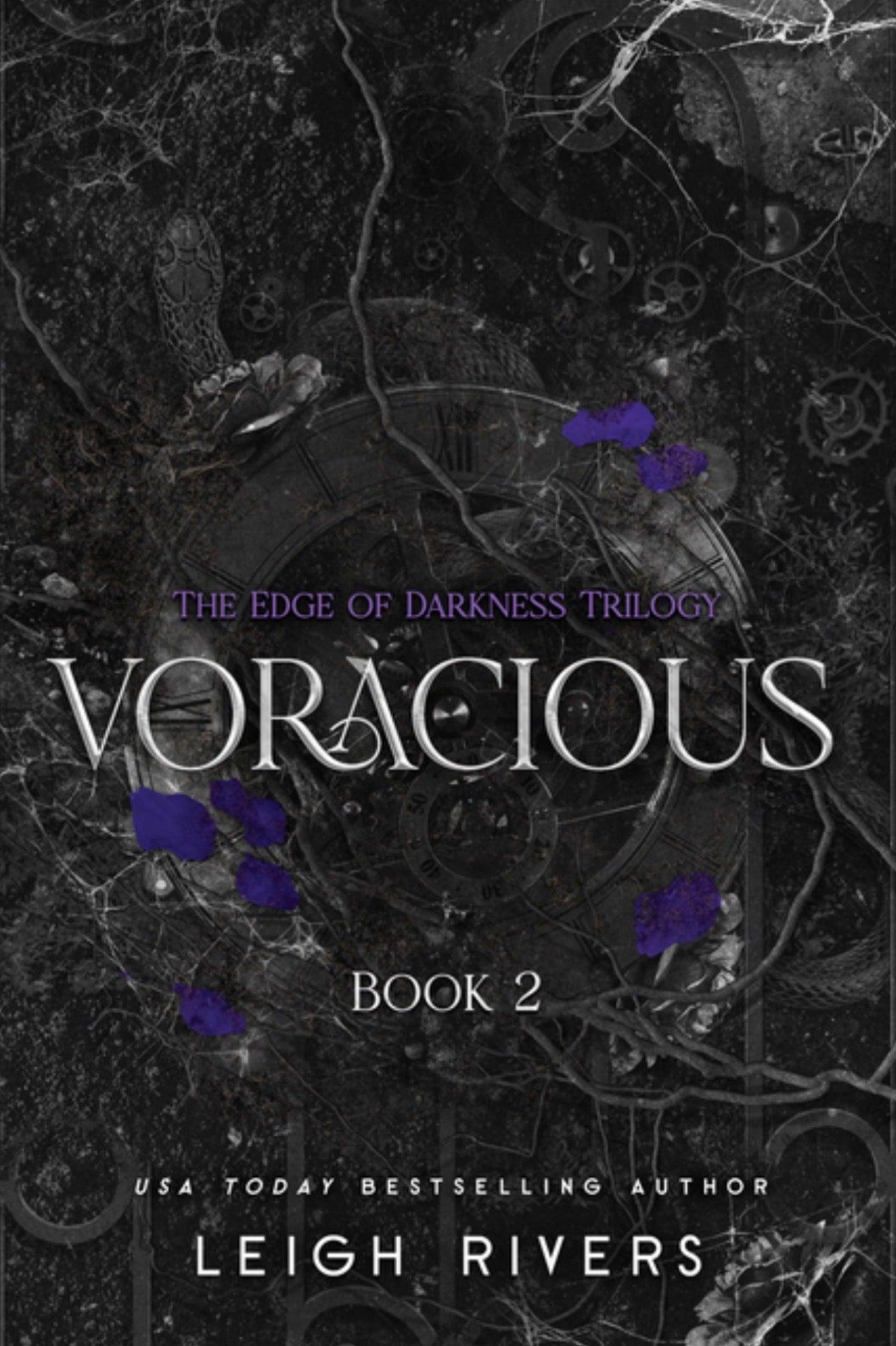 Voracious: The Edge of Darkness Trilogy Book #2 (The Edge of Darkness Trilogy) PRE-ORDER 9/1/26