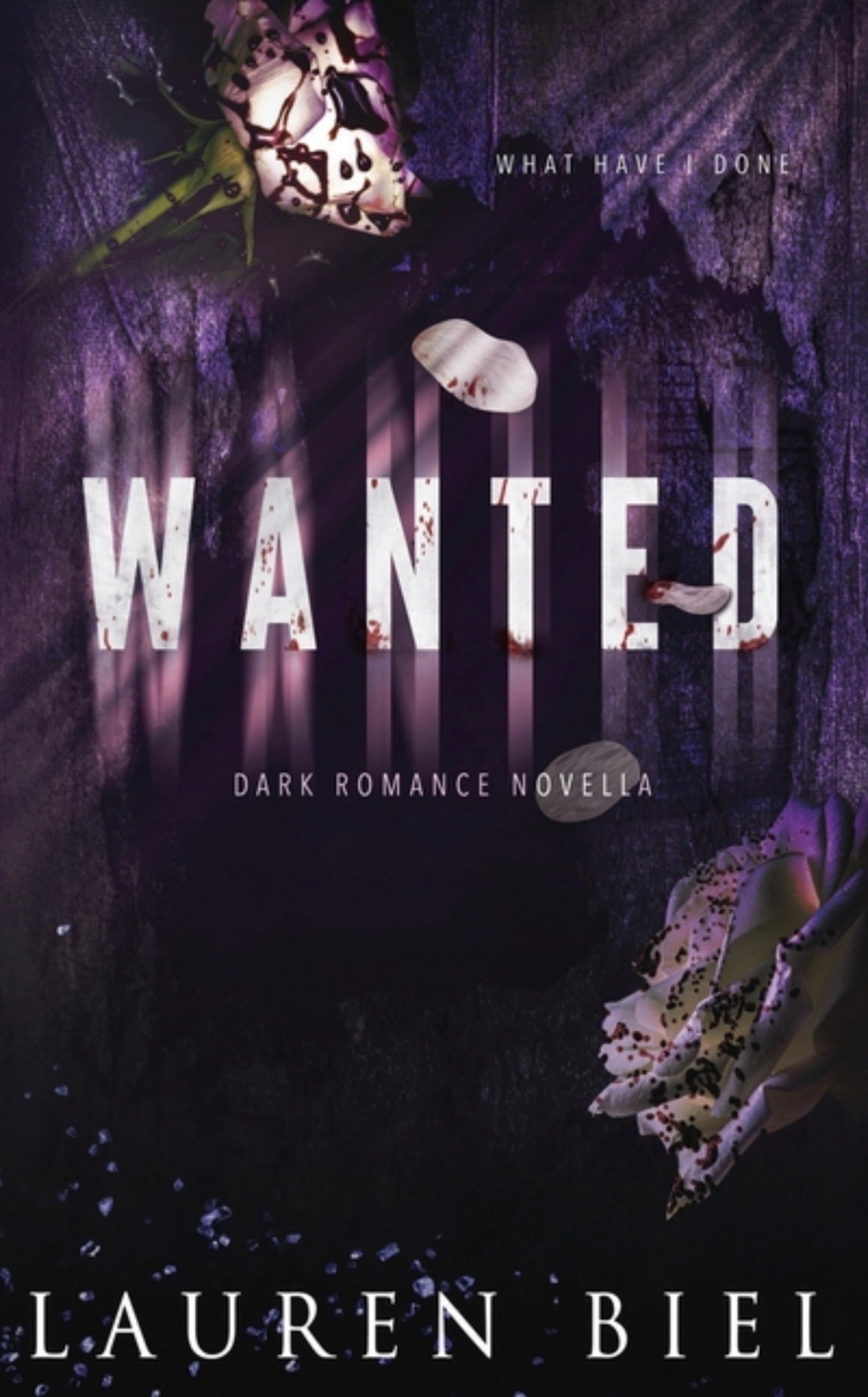 Wanted: a dark romance novella