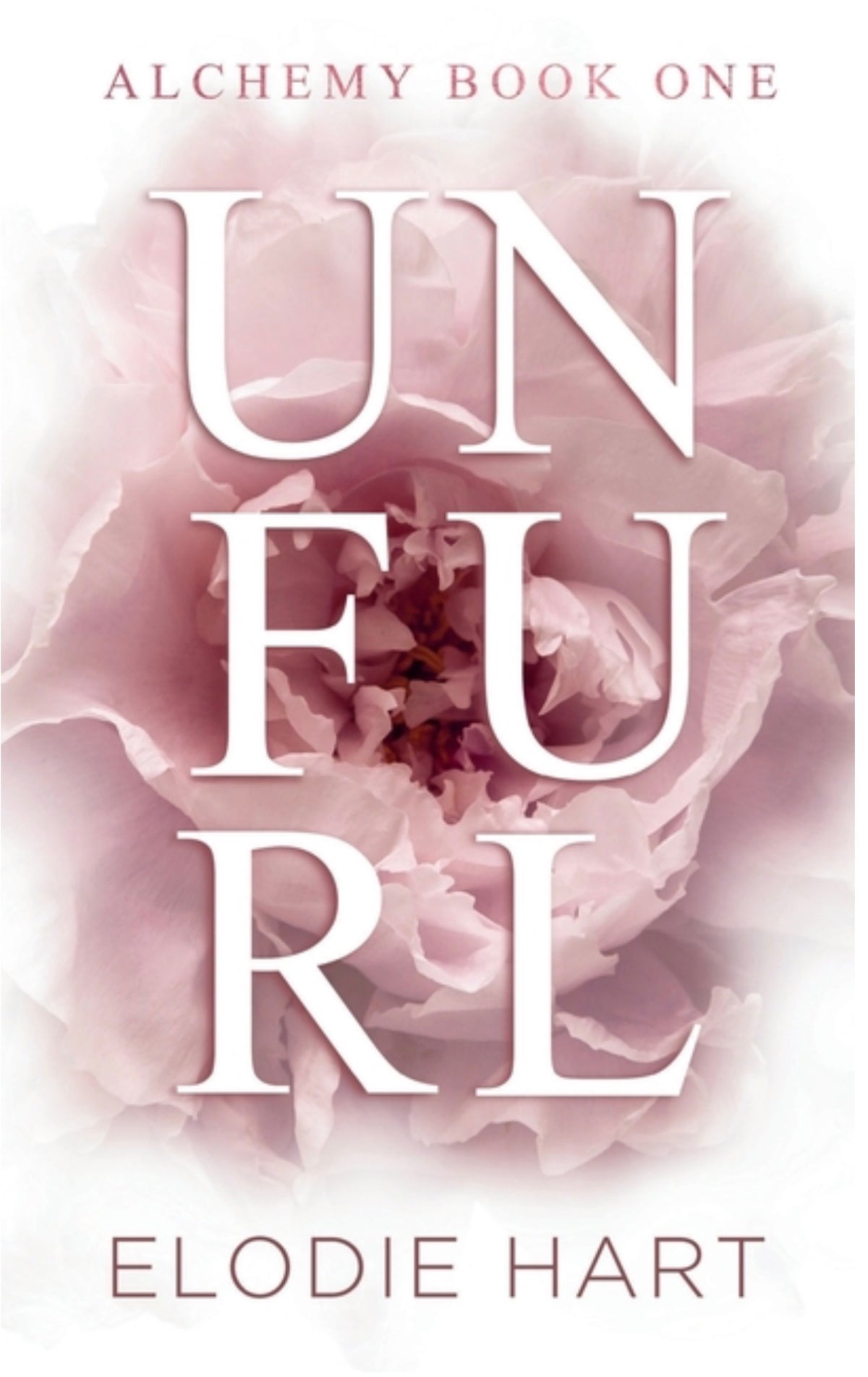 Unfurl: A Hot Age Gap Romance (Discreet Cover) (Alchemy #1)