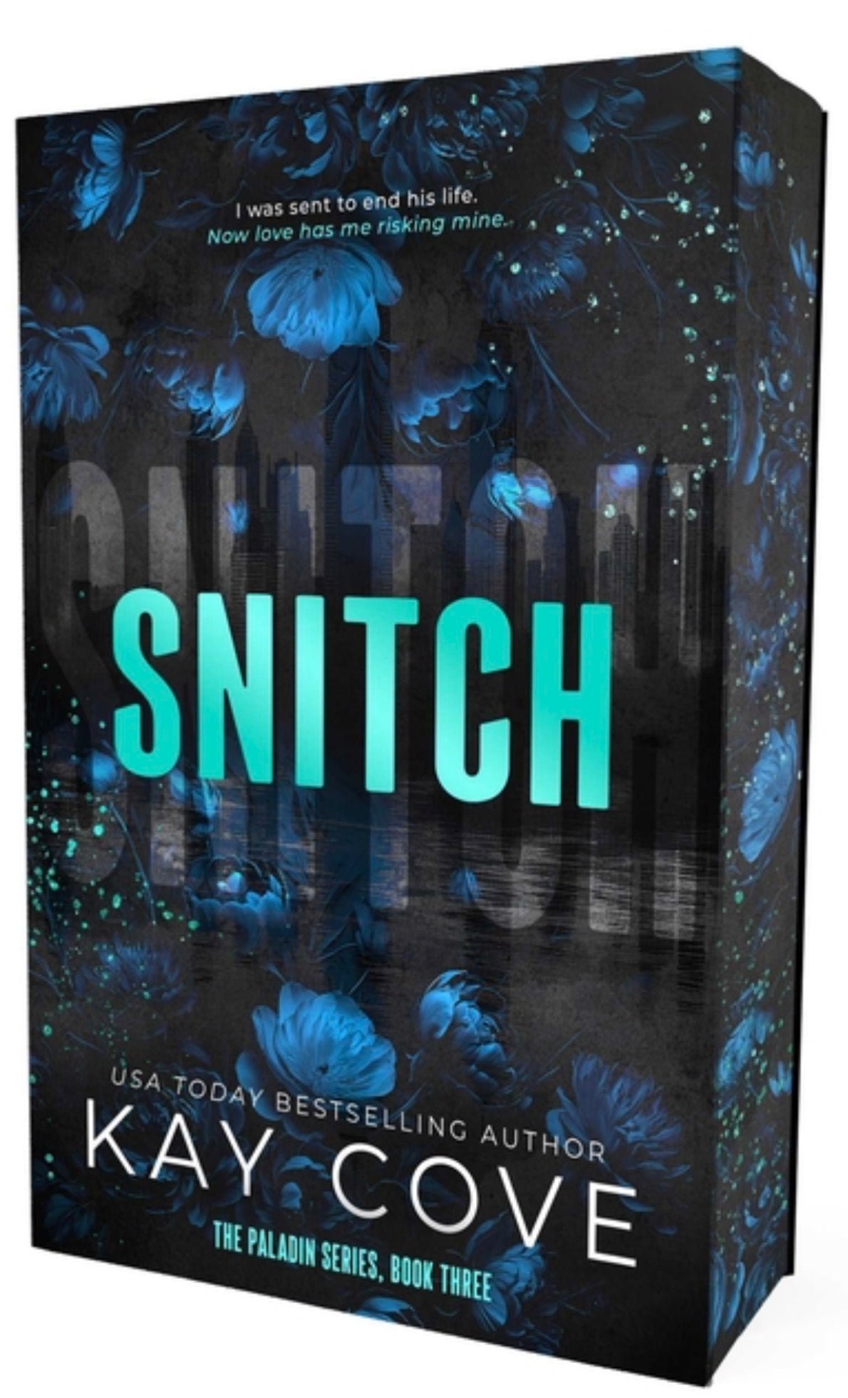 Snitch: Special Edition (Paladin #3)
