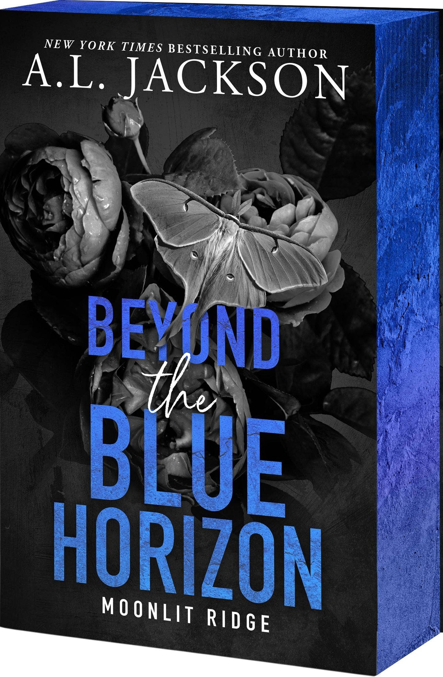 Beyond The Blue Horizon