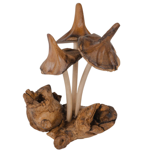 TREE MUSHROOMS