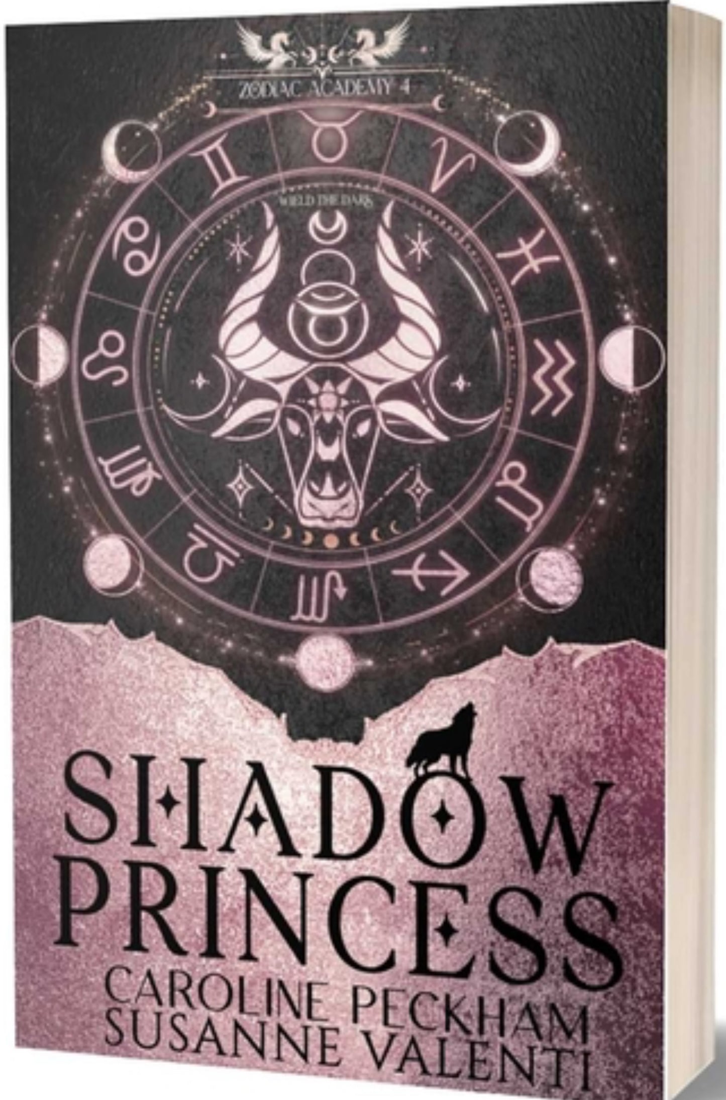 Zodiac Academy 4: Shadow Princess