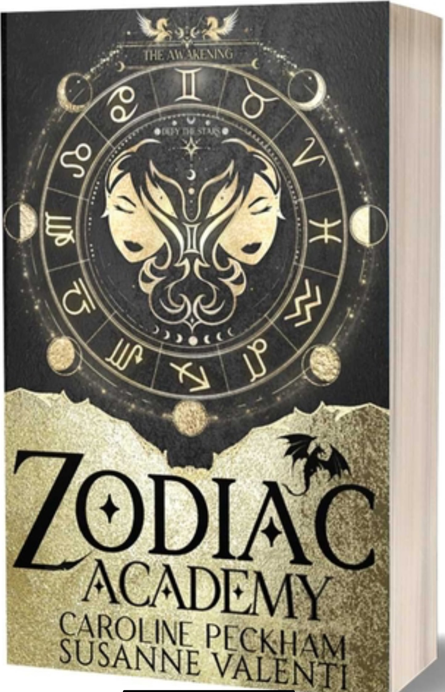 Zodiac Academy 1: The Awakening