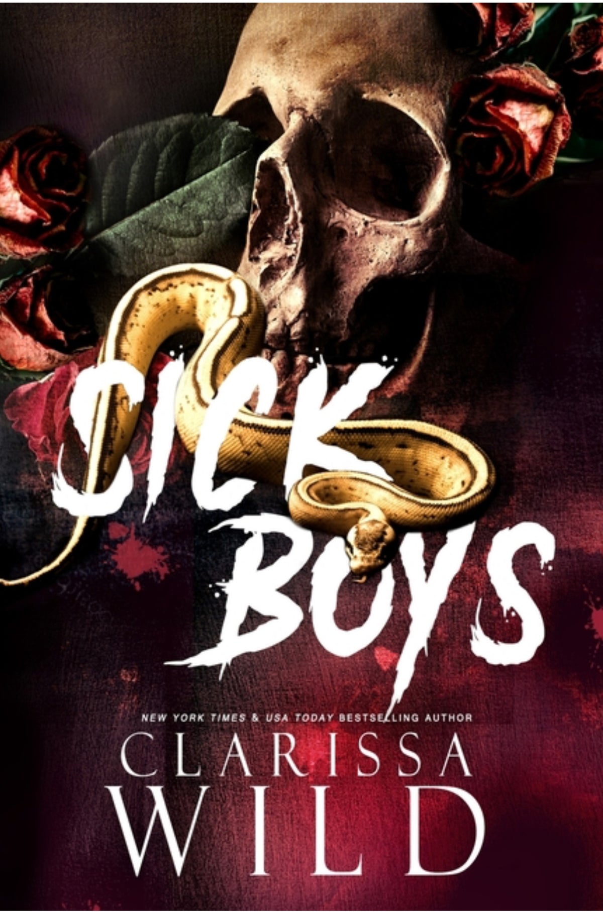 Sick Boys (Spine Ridge University #1)