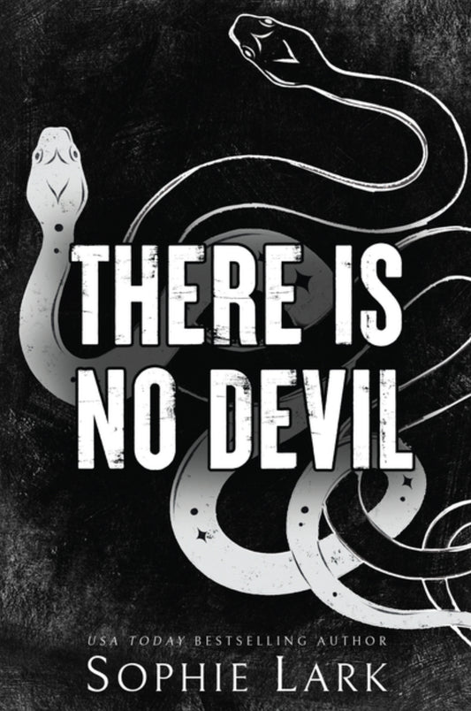There Is No Devil (Sinners Duet #2)