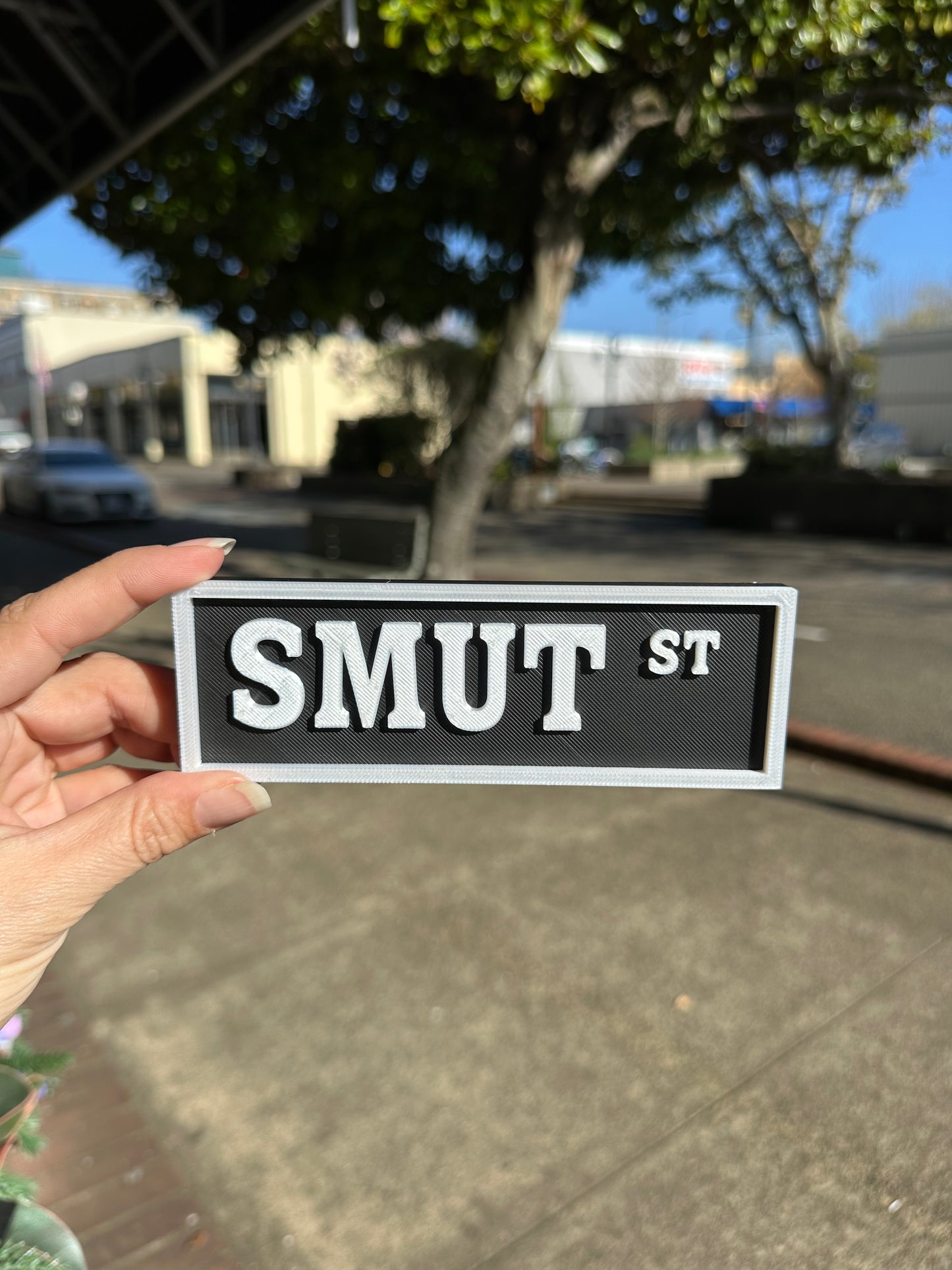 3D Printed Street Sign
