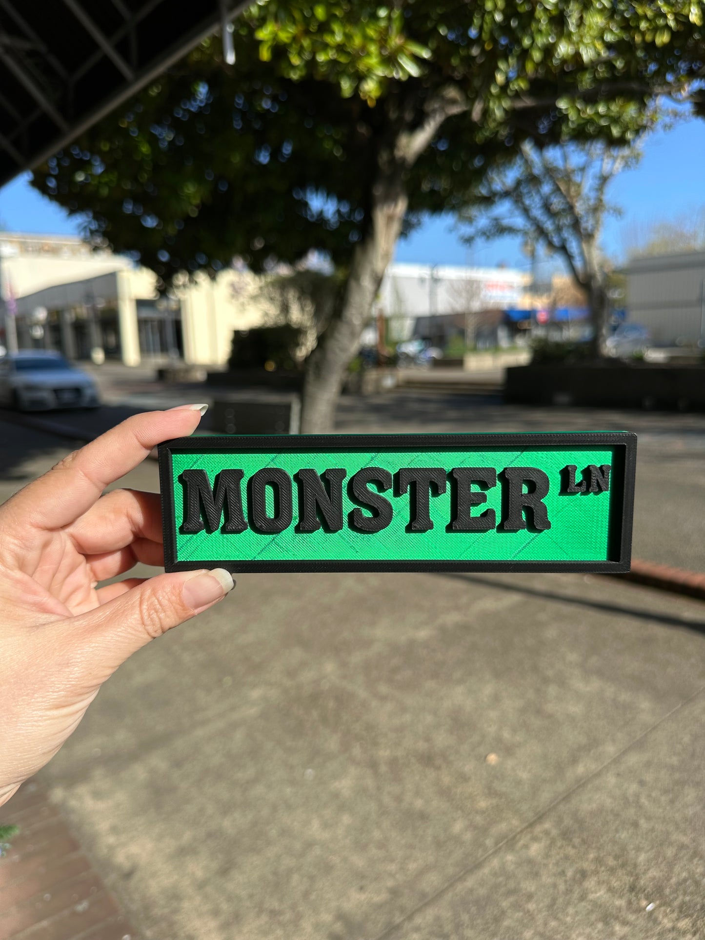 3D Printed Street Sign