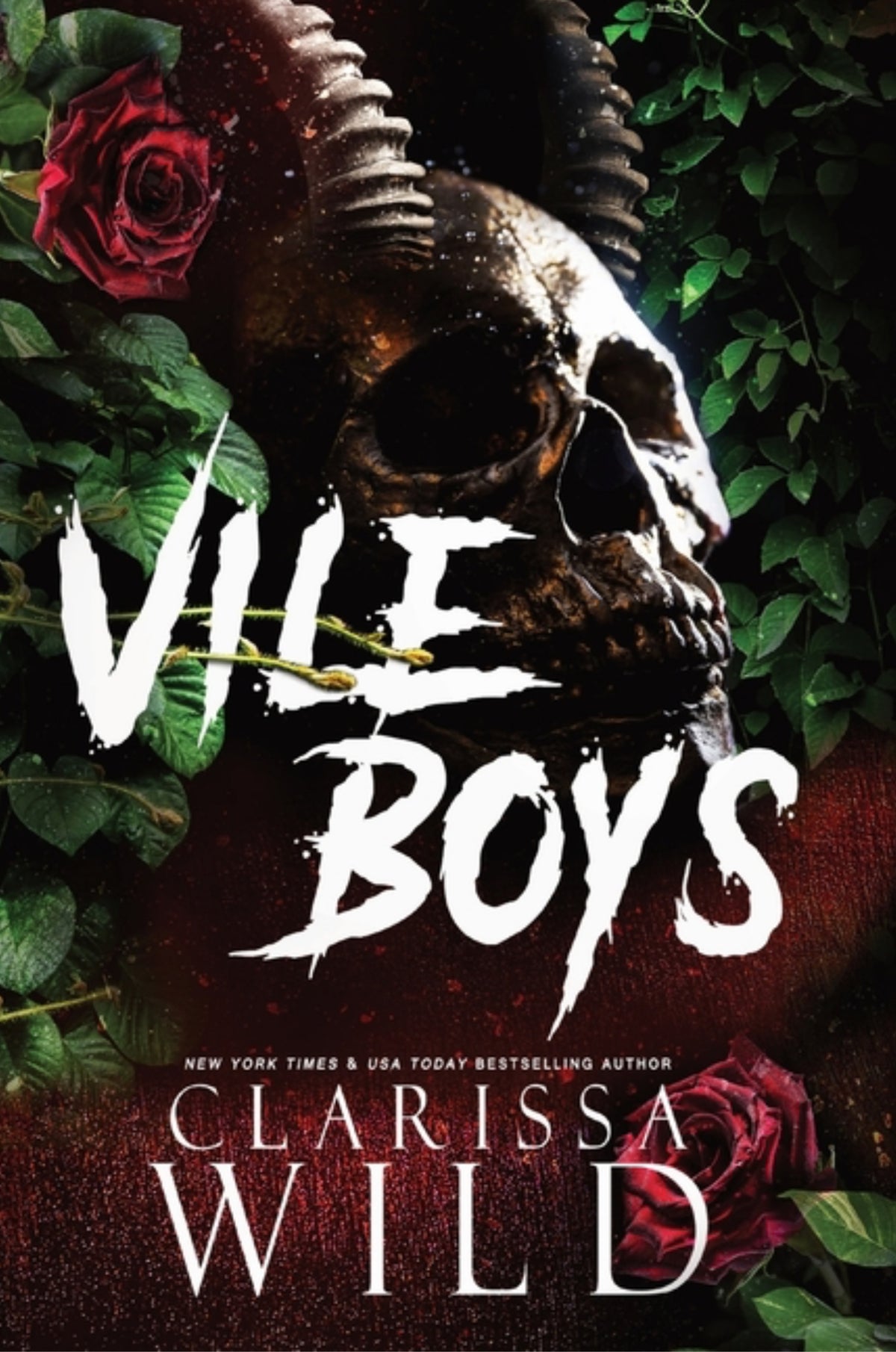 Vile Boys (Spine Ridge University #3)