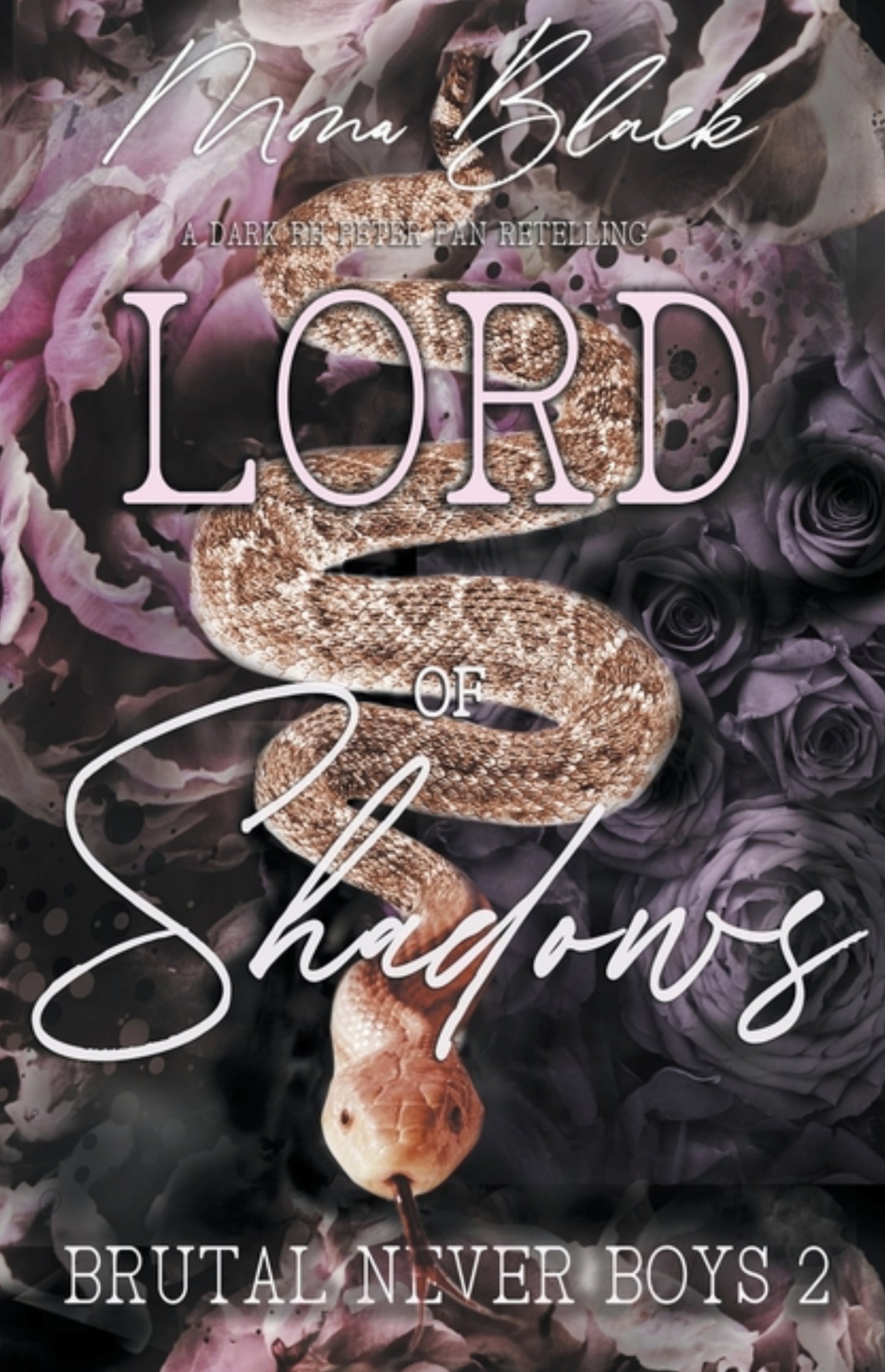 Lord of Shadows: a dark RH Peter Pan Retelling (Brutal Never Boys #2)