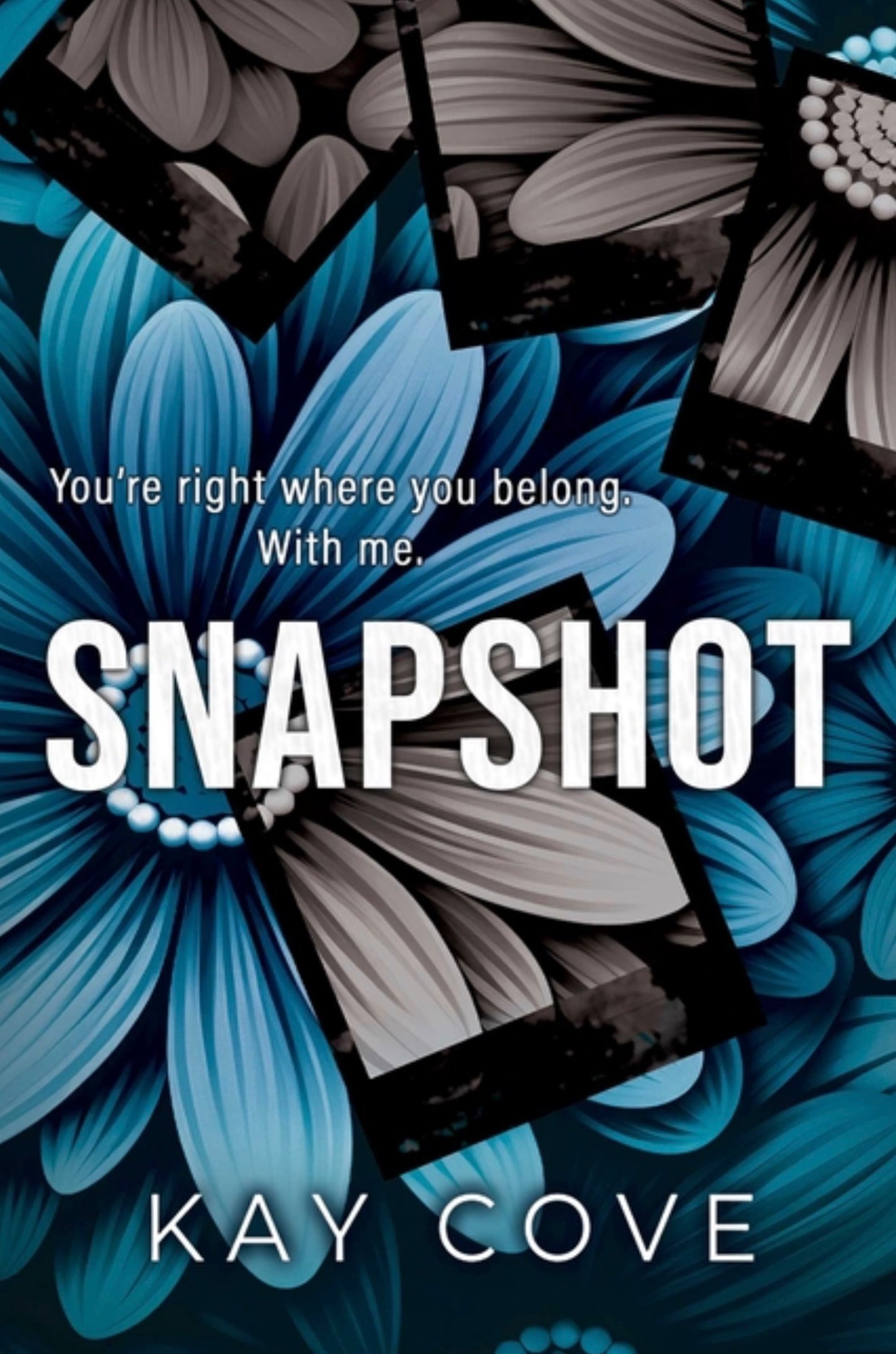 Snapshot (Lessons in Love #2)