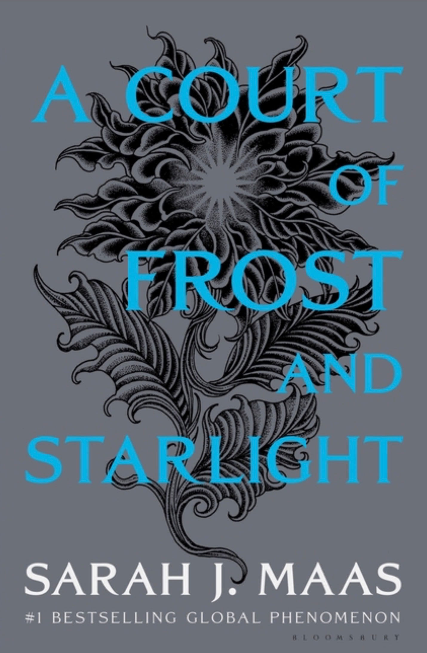 A Court of Frost and Starlight (Court of Thorns and Roses #4)