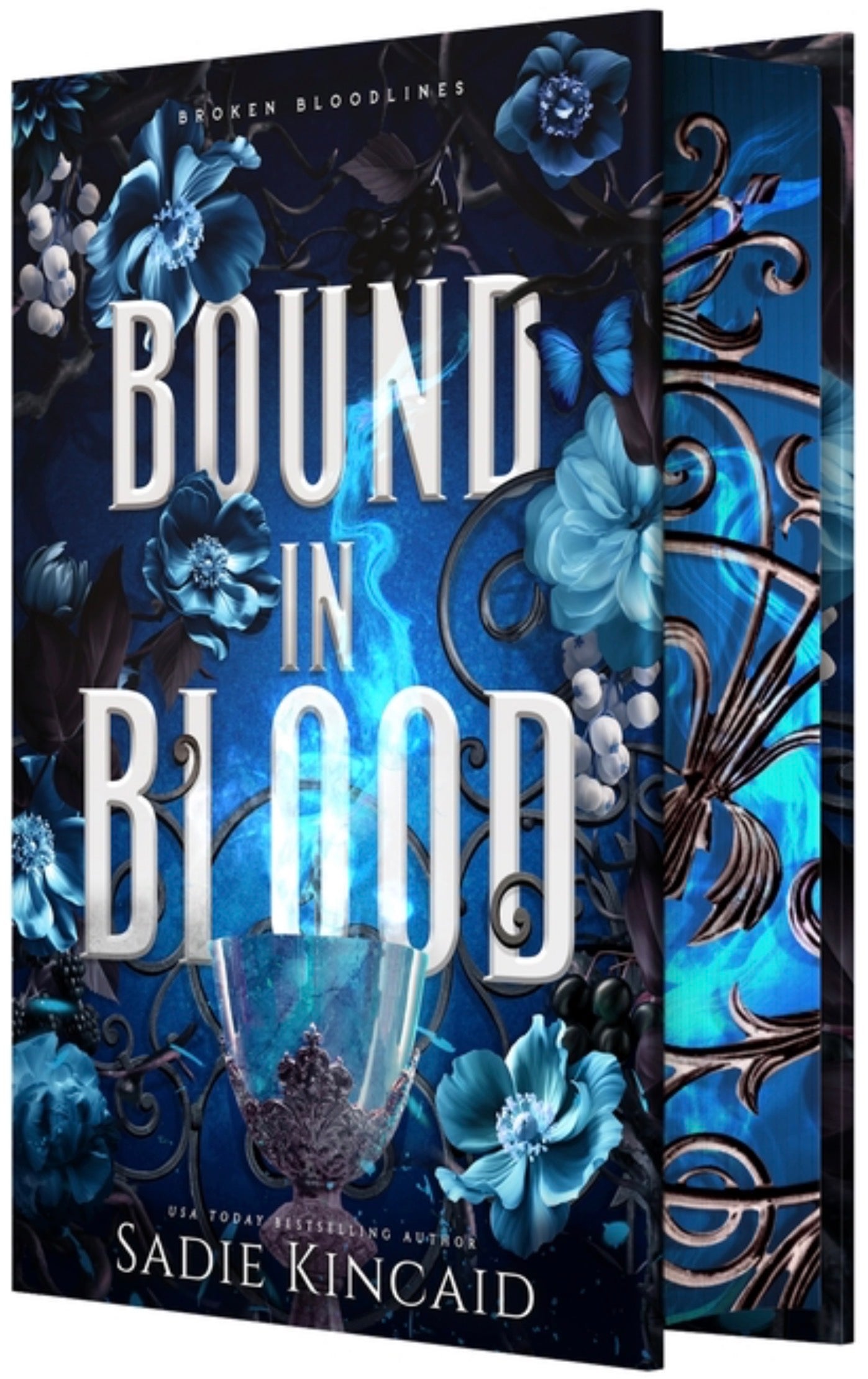Bound in Blood (Broken Bloodlines #3) 3/24