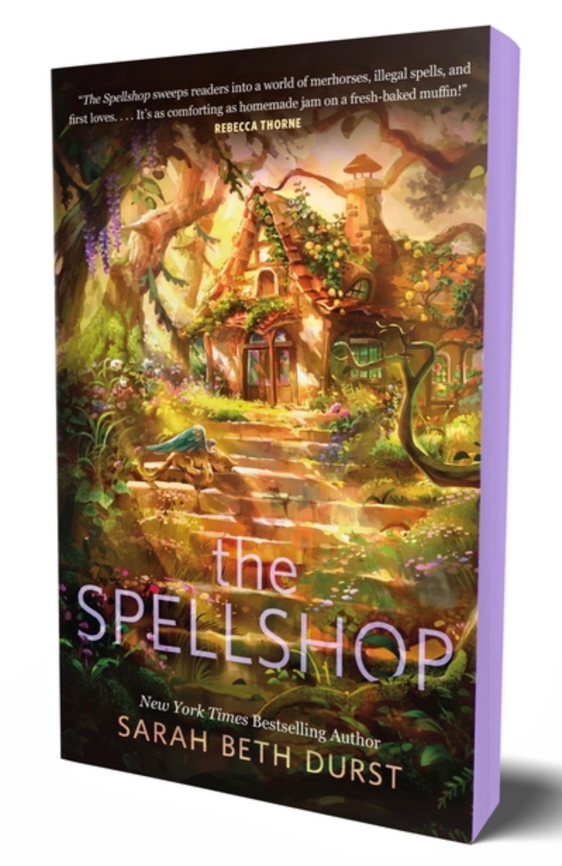 The Spellshop (Spellshop #1)