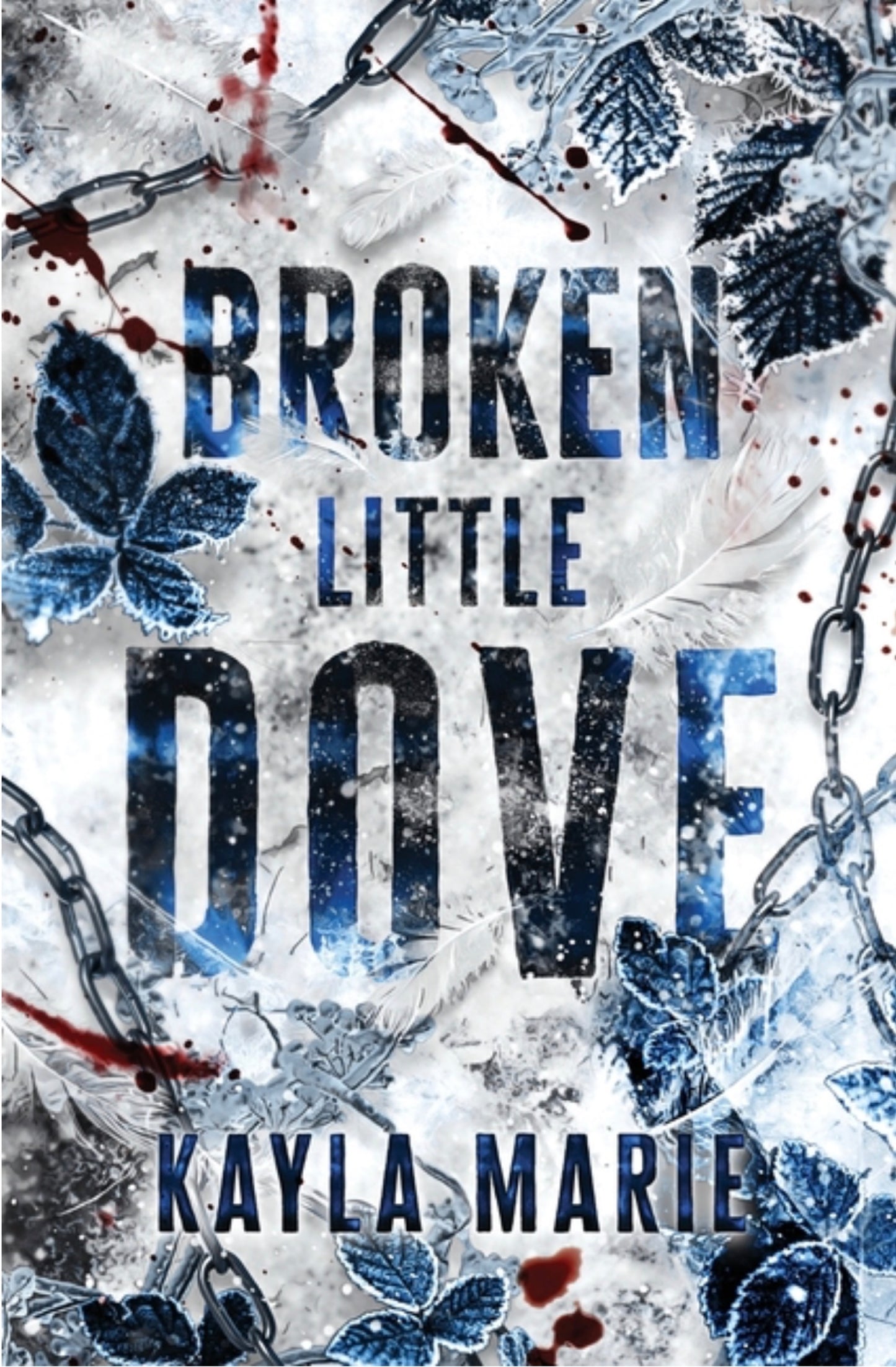 Broken Little Dove: A Dark Love Story