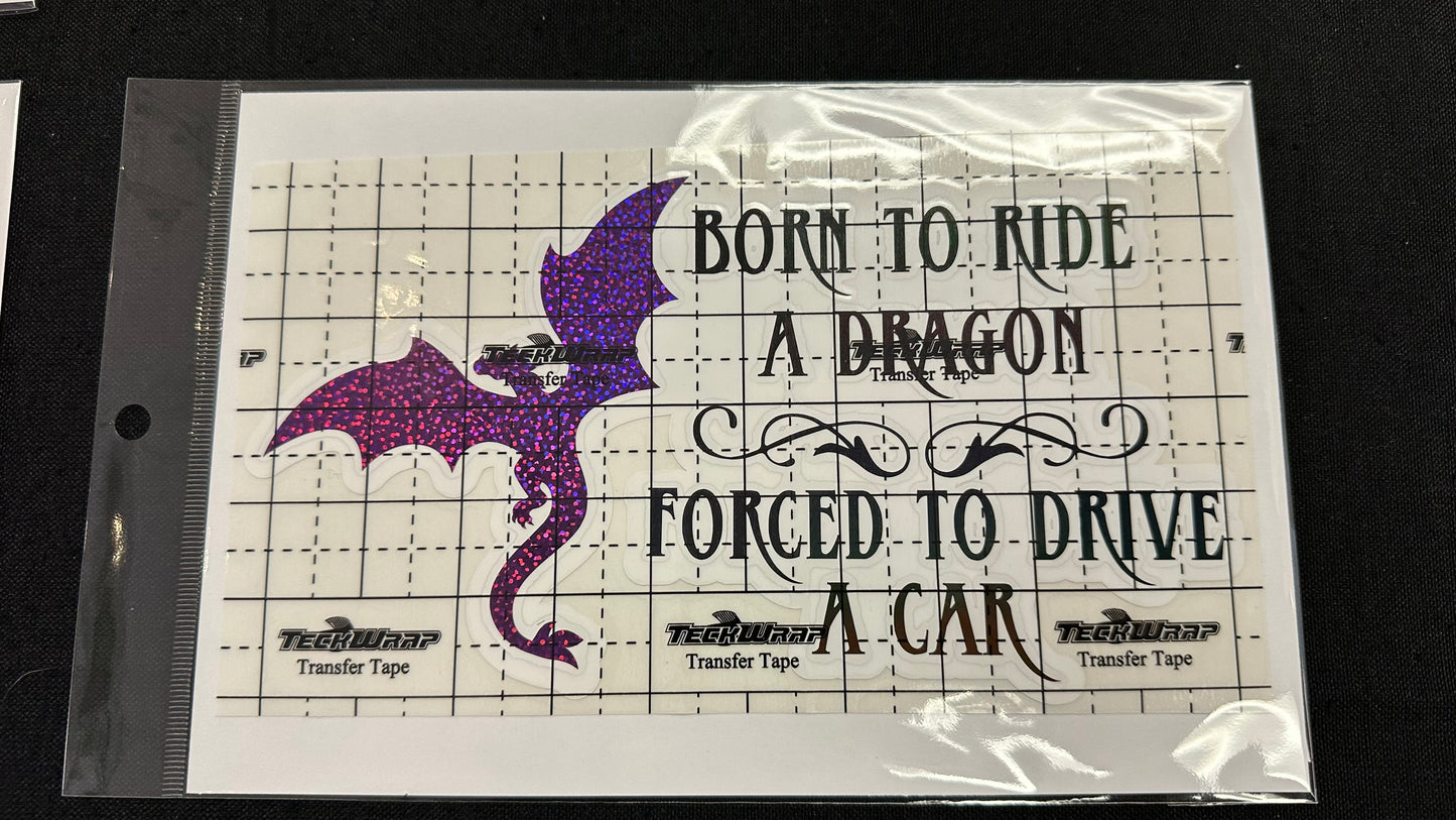 Born to Ride - 5" x 8" Car Decal
