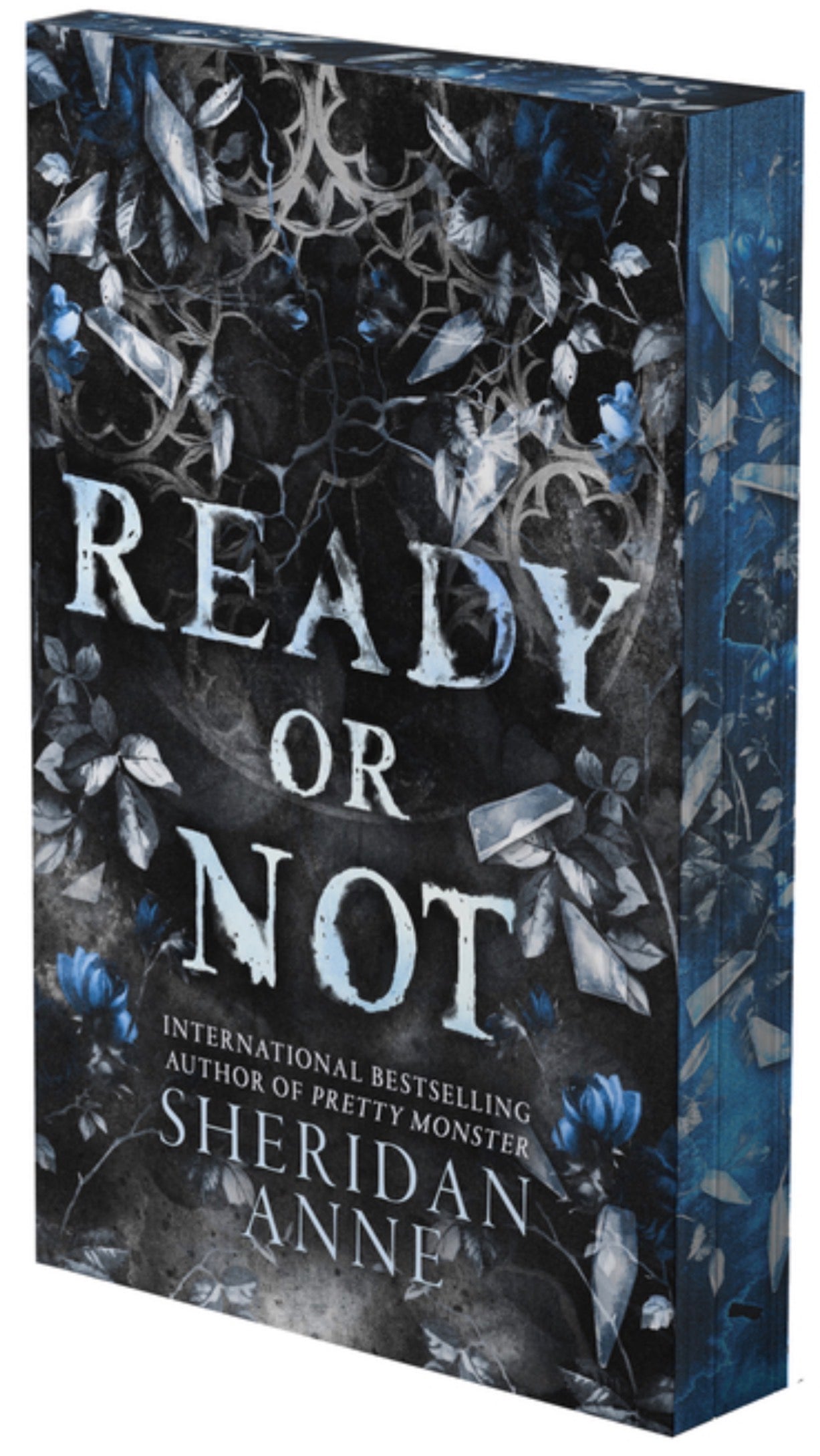 Ready or Not: A Dark Stalker Romance (Deluxe Limited Edition) (Hide and Seek #2) PRE-ORDER 7/21/26