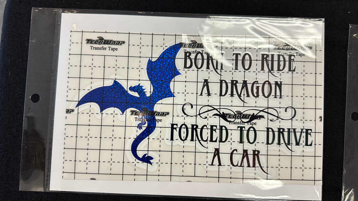 Born to Ride - 5" x 8" Car Decal