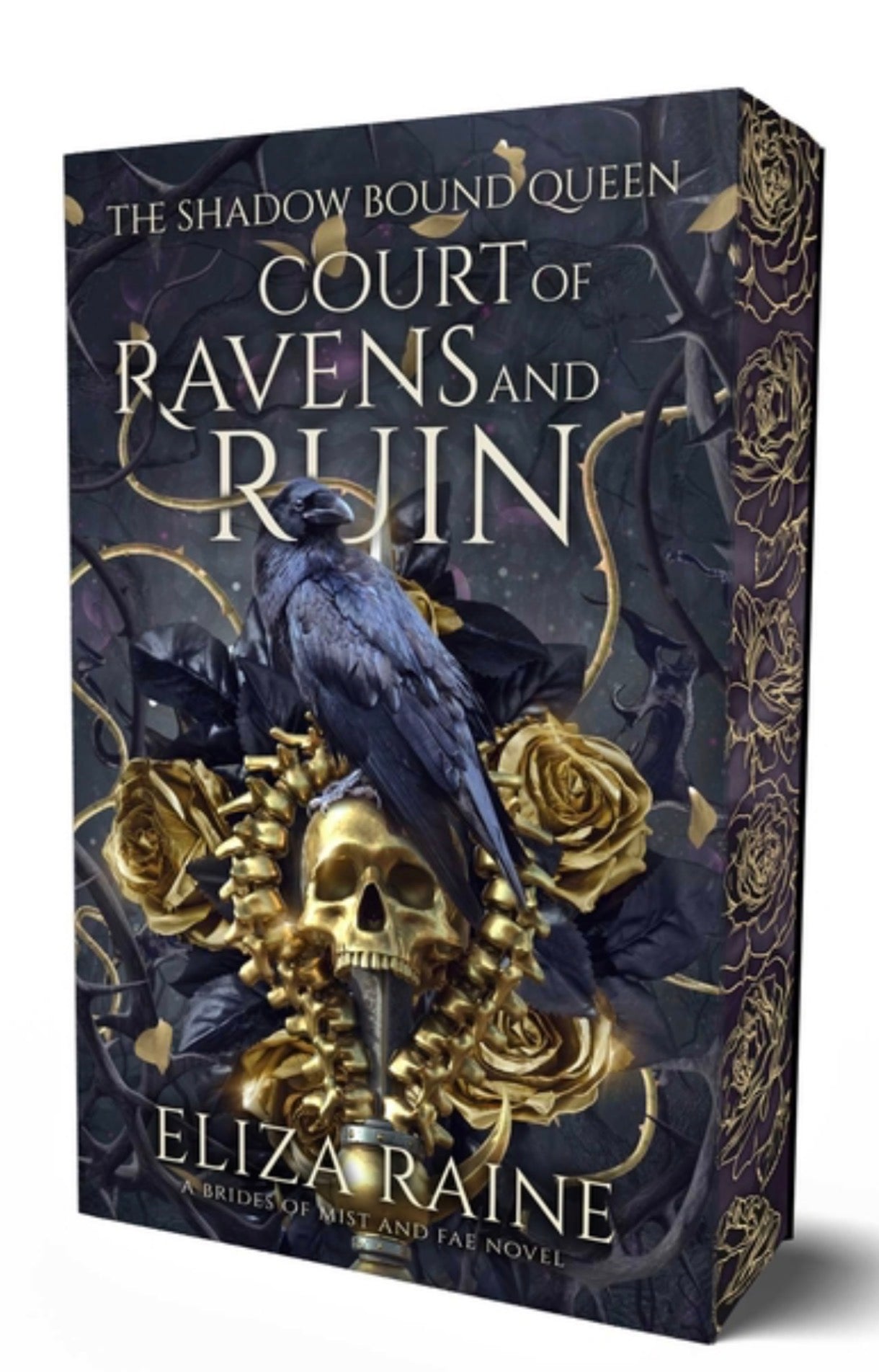 Court of Ravens and Ruin (The Shadow Bound Queen #1)