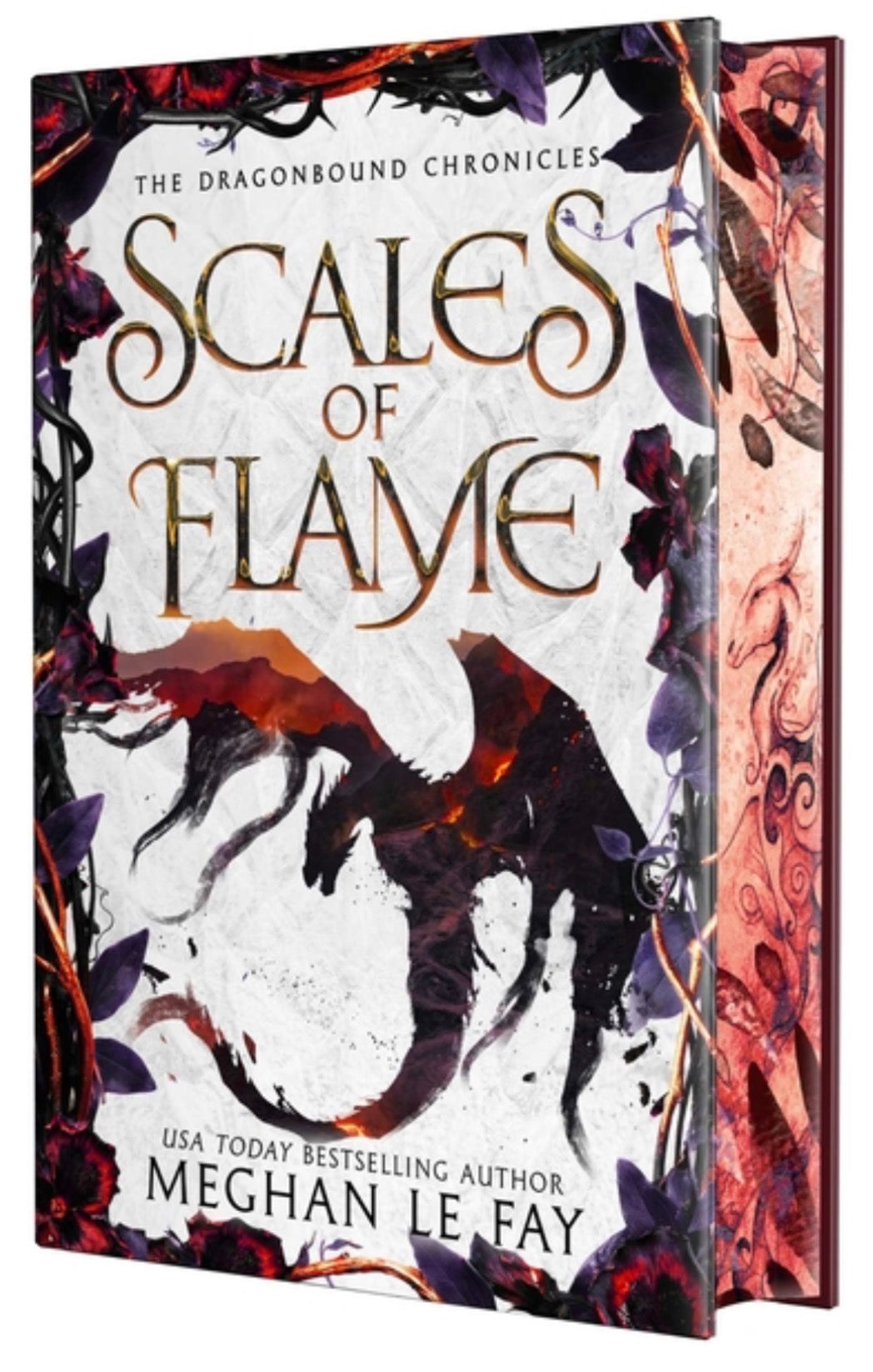 Scales of Flame: Limited Special Edition (Dragonbound Chronicles #2) PRE-ORDER 11/17/26