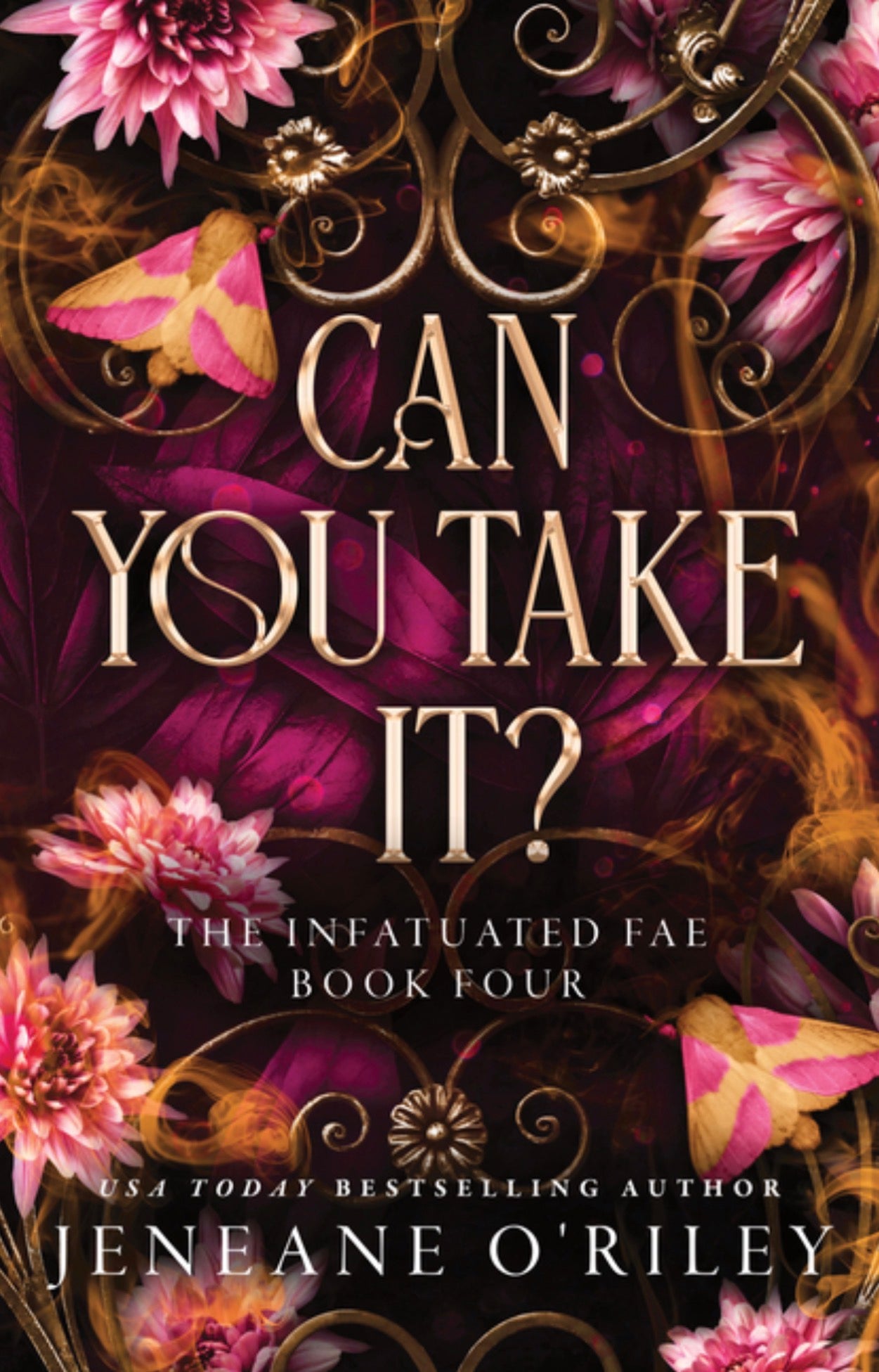 Can You Take It? (Standard Edition) (Infatuated Fae #4)