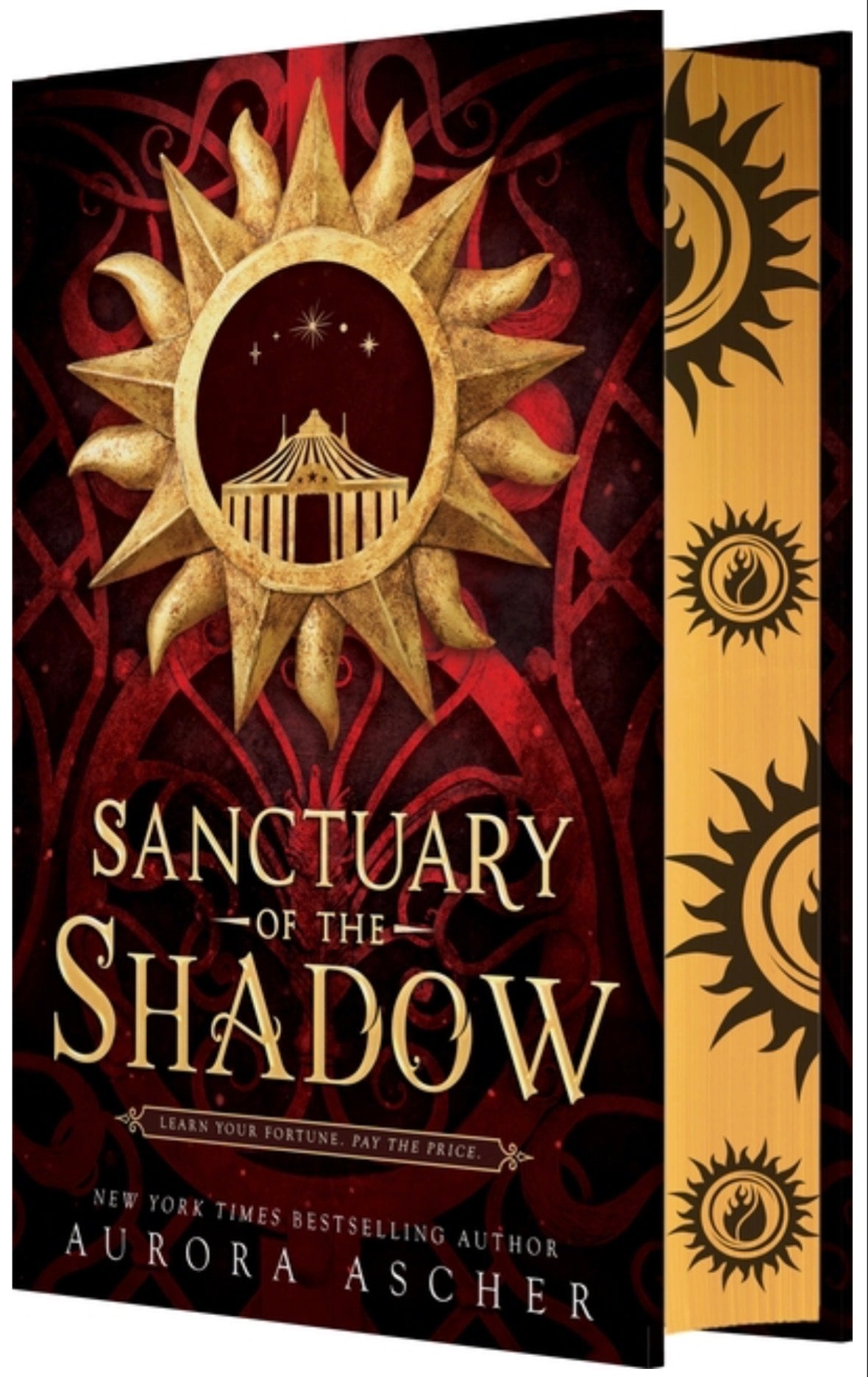 Sanctuary of the Shadow (Elemental Emergence #1)