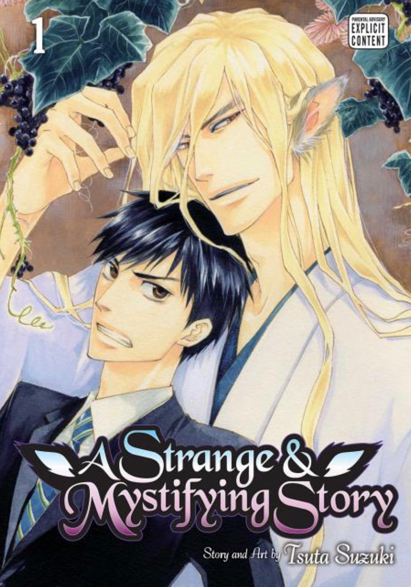 A Strange & Mystifying Story, Vol. 1 (Strange and Mystifying Story #1) yaoi