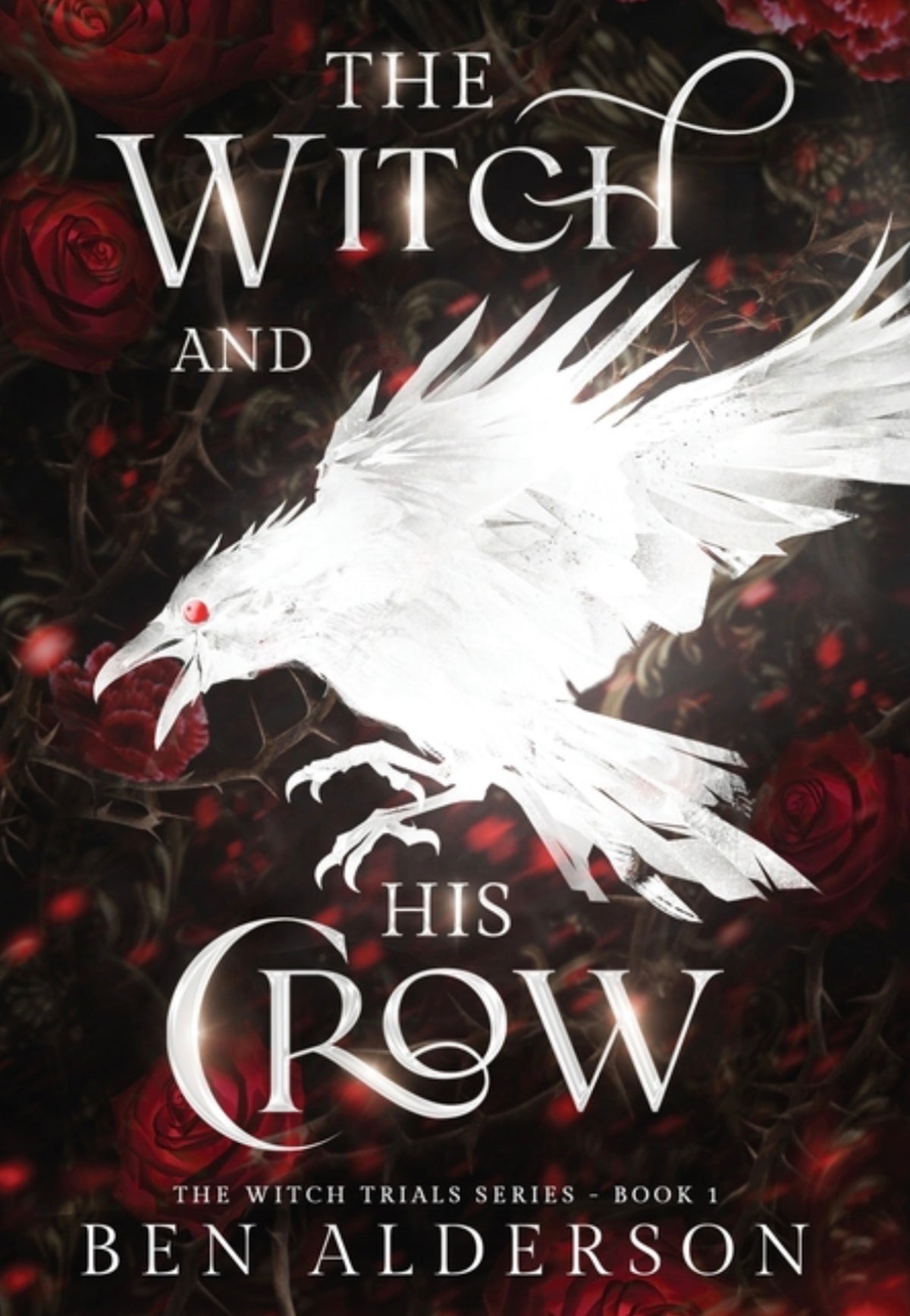 The Witch and His Crow - Book #1