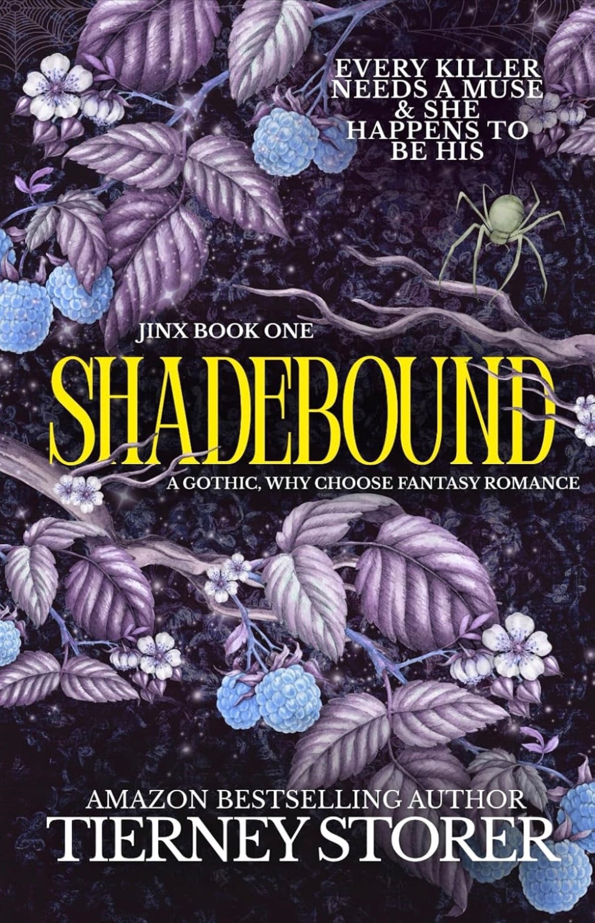 Shadebound: A Dark Academia, Enemies To Lovers, Slow Burn Romance, Fantasy Academy Series (Dark Fantasy #1)