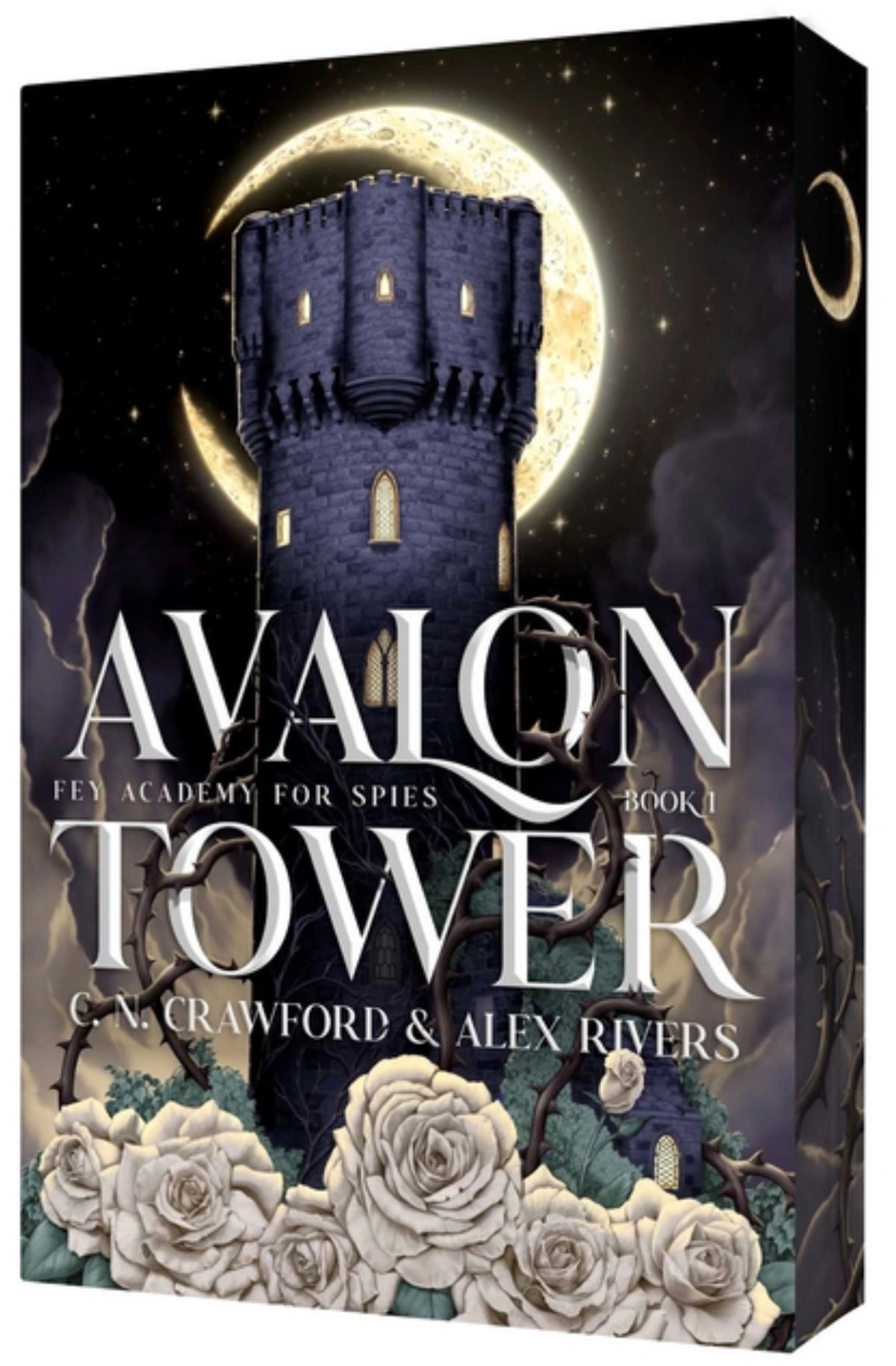 Avalon Tower (Fey Academy for Spies #1)