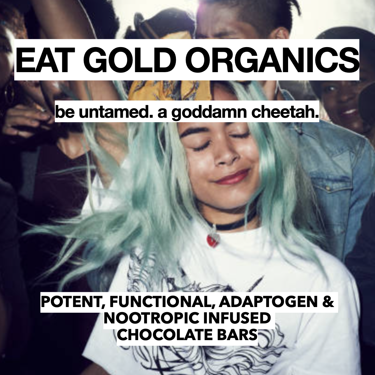 The Untamed a 24k Gold, Functional, Delicious Chocolate Bar